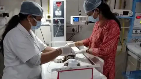Newborn Interred Alive in the Country Battles for Existence