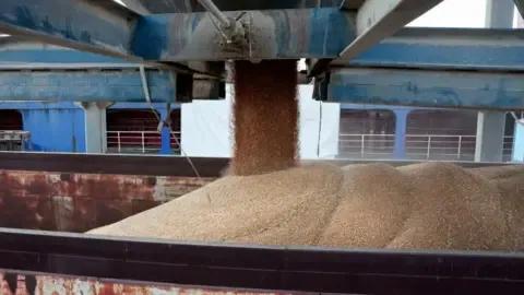 The nation Battles Gravest Dry Spell in Decades, Pushing Countless People To the Edge